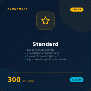 Abonament Standard — mentenanță + modificări